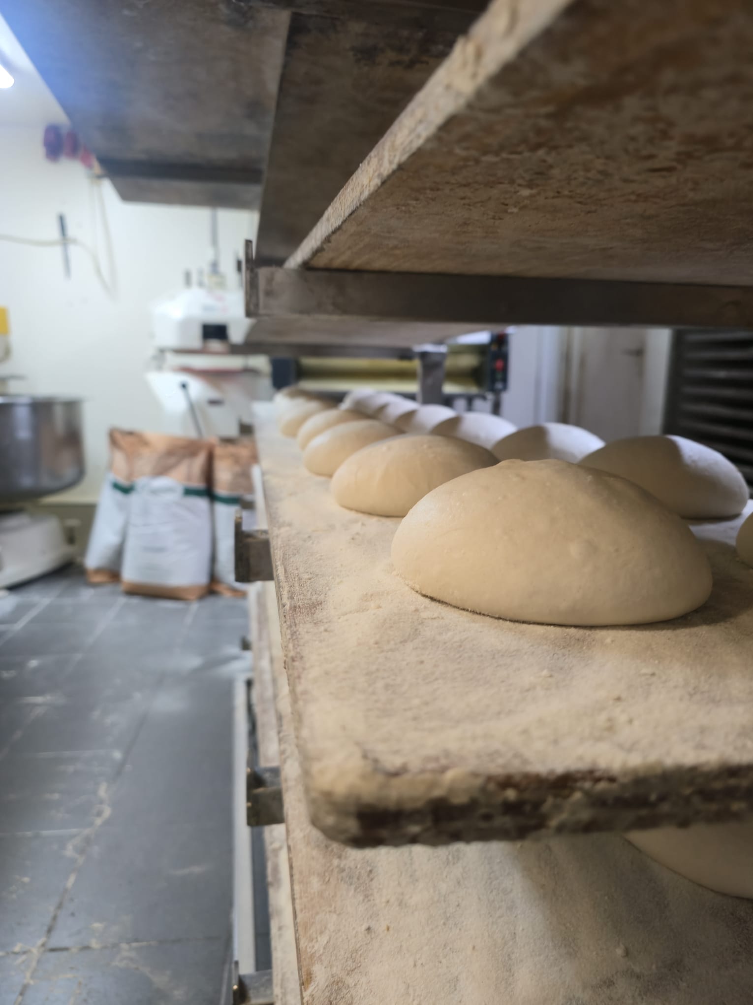 Deegbollen rijzen